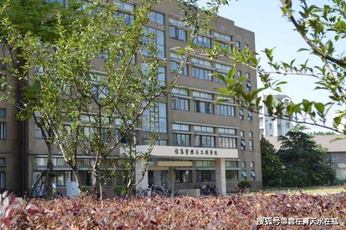上海财经大学非全日制mpacc怎么样