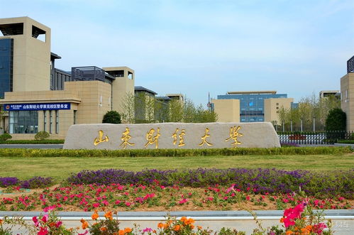 山东财经大学校园网怎么收费