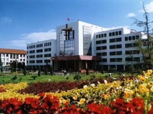 云南财经大学期末挂科怎么办
