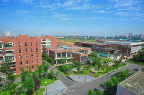 胡小凤四川财经学院怎么样